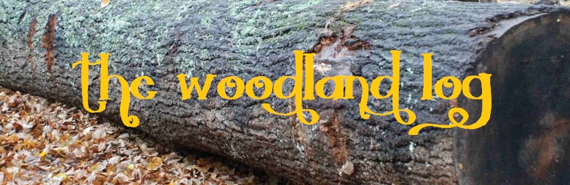 The Woodland Log