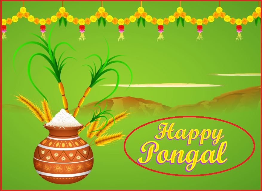 Thai Pongal Festivals Tamil Calendar 2024 Tamil Daily Calendar 2024