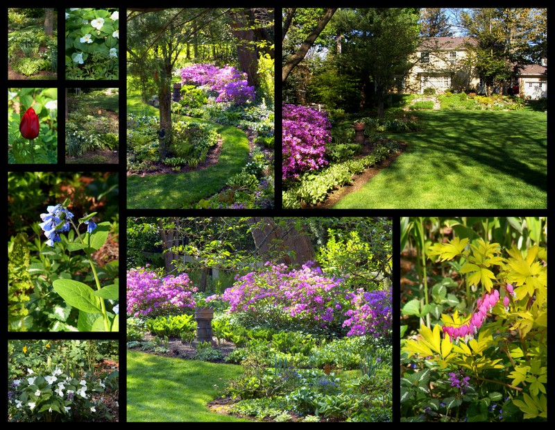 THE VILLAGE VOICE 'APRIL LOVE' AS THE GARDEN GROWS