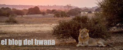 El blog del Bwana