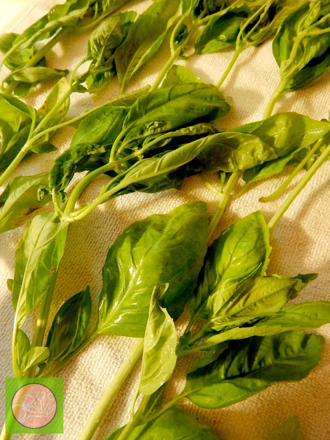 how to dry fresh herbs in 4 easy steps (sweetandsavoryfood.com)