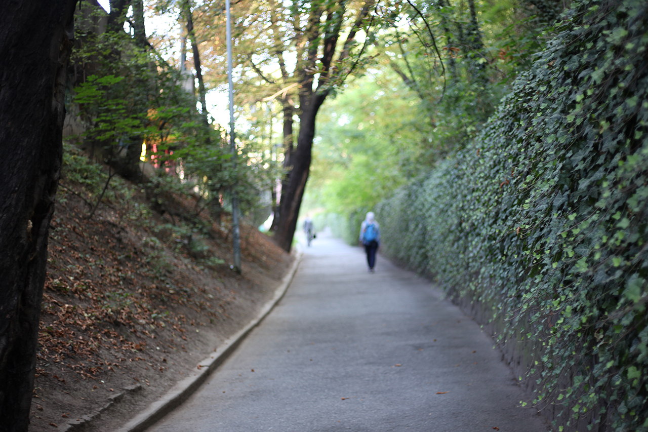 Дорожка в облаках. Беговая тропа в лесу. Тропа жизни. Walking path. Лето осень.