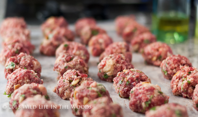 The best Spaghetti and Meatball recipe ever, where the meat for the meatball is venison.