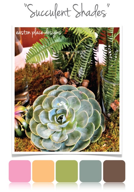 Easton Place Designs Blog: Color Palette: Succulent Shades