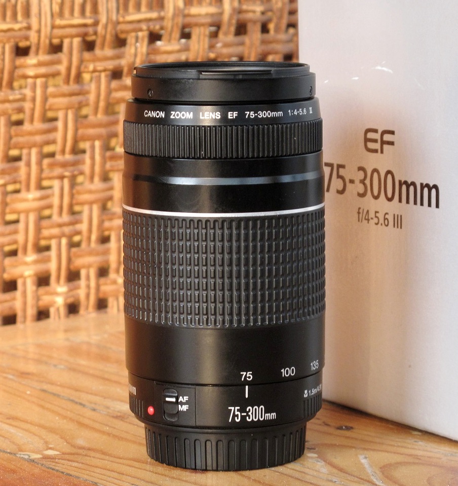 зеркальный фотоаппарат canon eos 1200d double kit 18-55 mm iii + 75-300 mm iii. B mm 3. Tokina 17mm 3. Canon ef-m 18-55 отзывы. Komura 28mm 3.