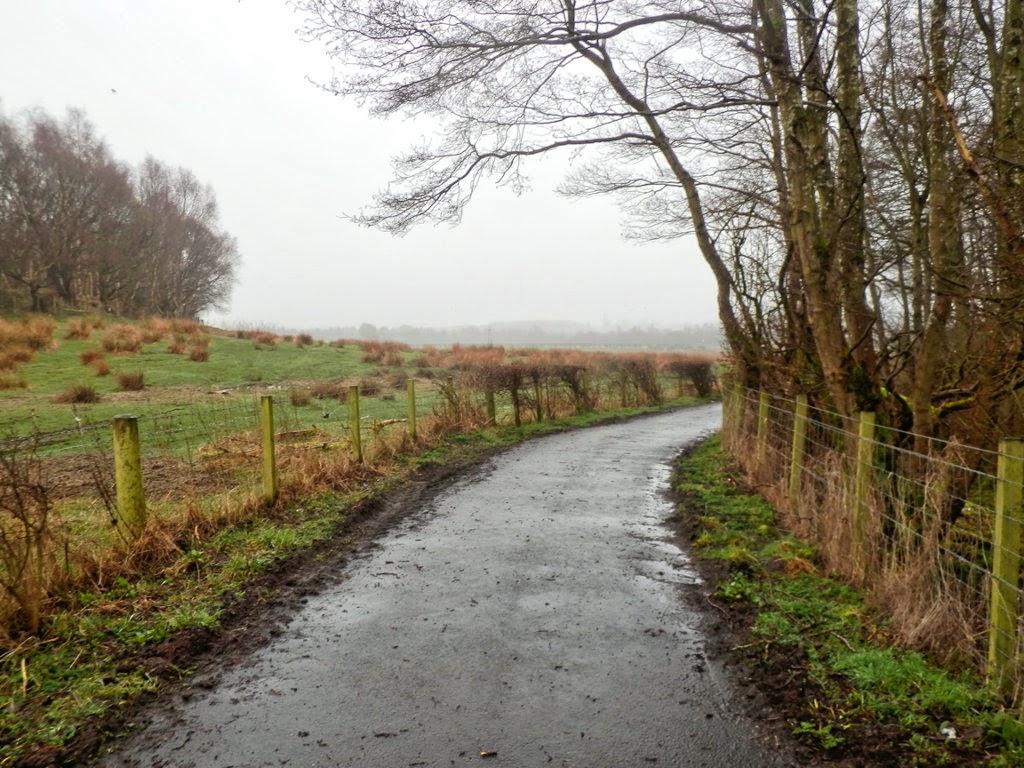 My Daily Walk Pike Road