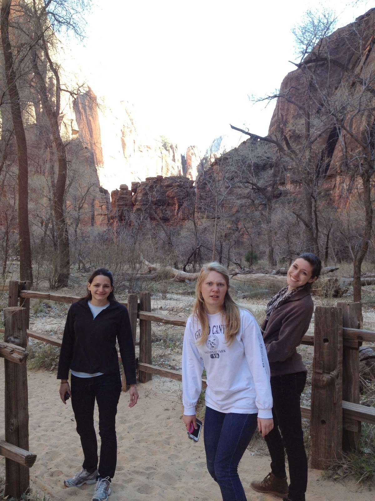 Interdisciplinary thesis northwestern picture