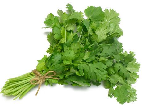 Anna y su mesa: Cilantro