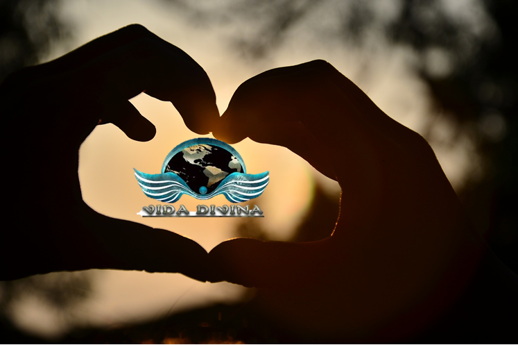 Con Menos Kilos La Vida Es Divina Vida Divina Mlm Con Menos Kilos La Vida Es Divina Vida Divina Mlm