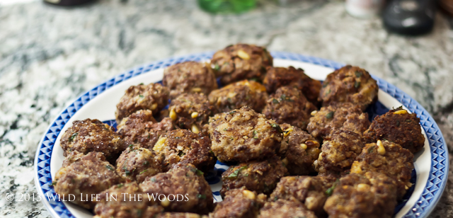 The best Spaghetti and Meatball recipe ever, where the meat for the meatball is venison.