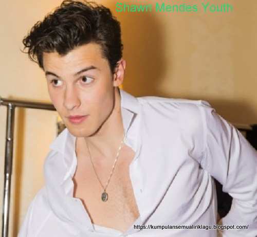 Lirik Shawn Mendes Youth