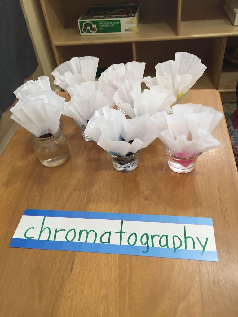 In Praise of Play Mad Science Monday Study of Chromatography