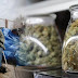 Colorado is Using $3 Million From Marijuana Tax to Provide Food and Housing For The Homeless