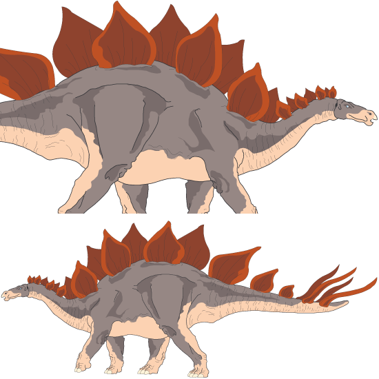 Estegosaurio dinosaurio vector