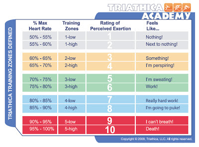 Fitness By Alicia: Sprint Triathlon Training
