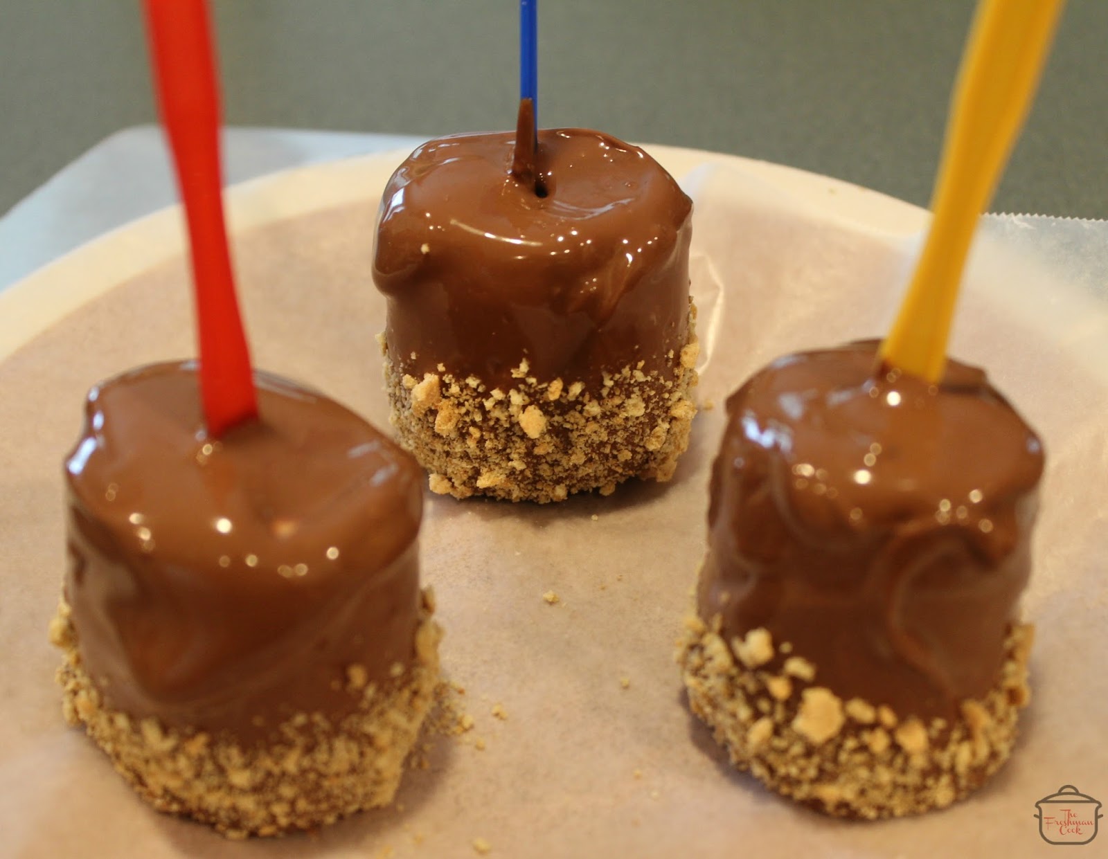 The Freshman Cook S'mores on a Stick / 15MinuteFriday