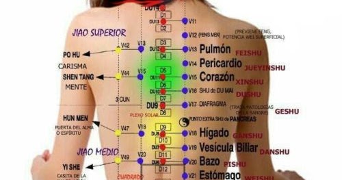 Puntos de acupuntura en la espalda