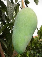 http://manfaatnyasehat.blogspot.com/2013/08/kandungan-nutrisi-dan-manfaat-buah-mangga.html