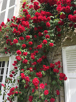 Au cas où vous n’auriez pas reçu mon mail ….