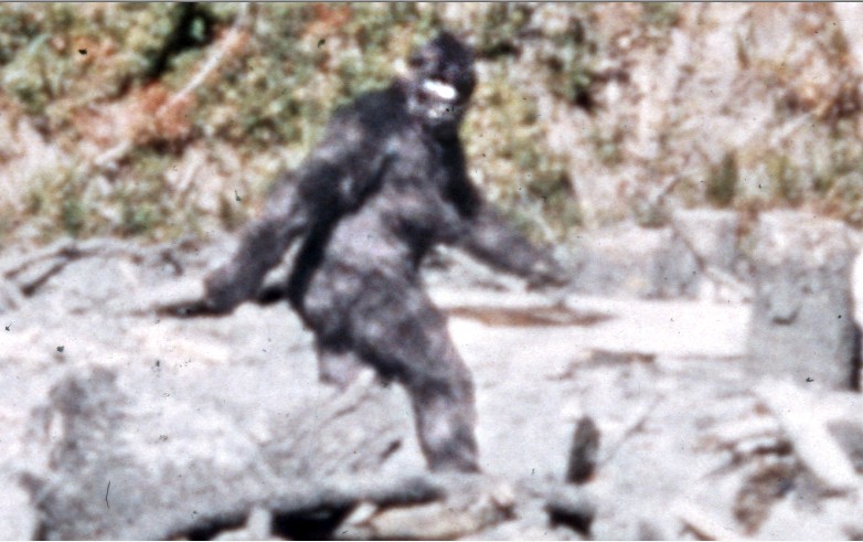 Bigfoot Stole Marble Left At Bluff Creek Patterson Film Site