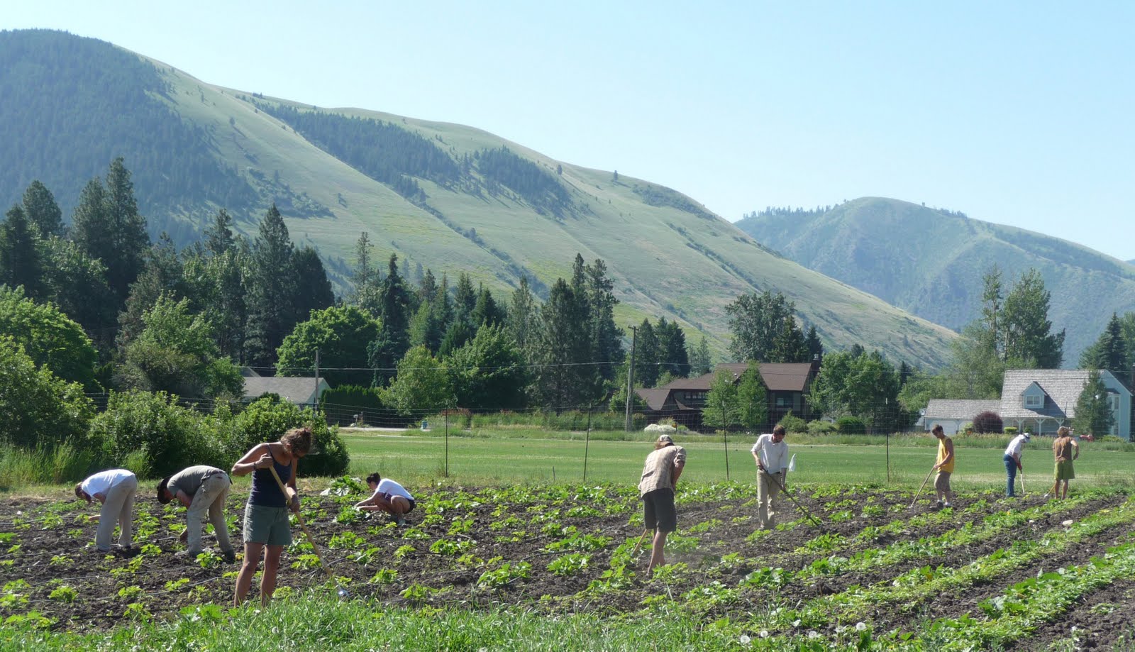 Facing Hunger in America PEAS