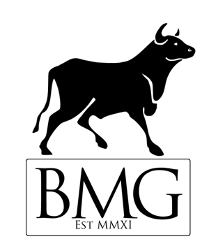 Bull Media Group