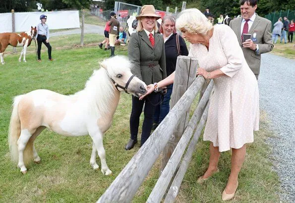 Prince Charles and Duchess of Cornwall met with King Goodwill and Queen Pumi of the Zulus. Burberry trench coat