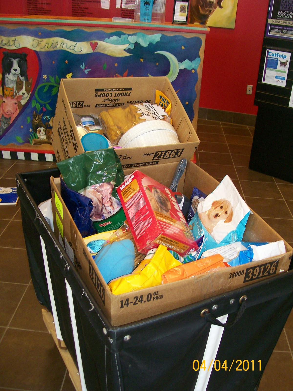 PYP Exhibition at Hubbell Supplies for Animal Rescue League are delivered as students learn