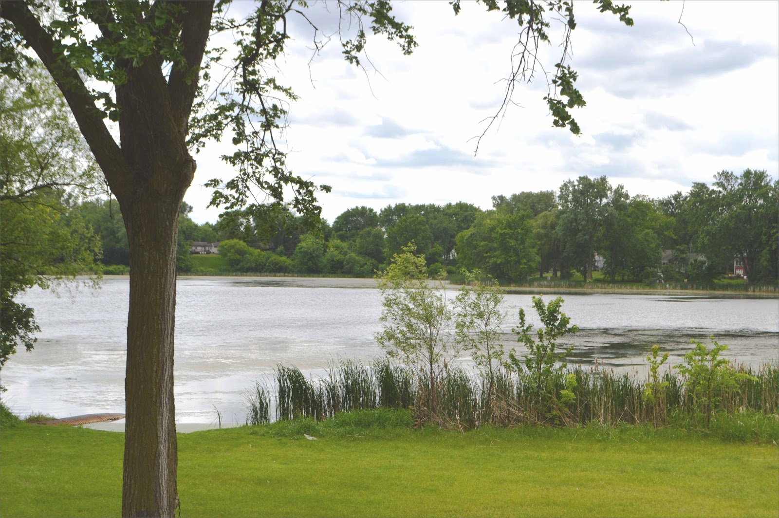 The Ripple Effect What's Next for Wakefield Lake?