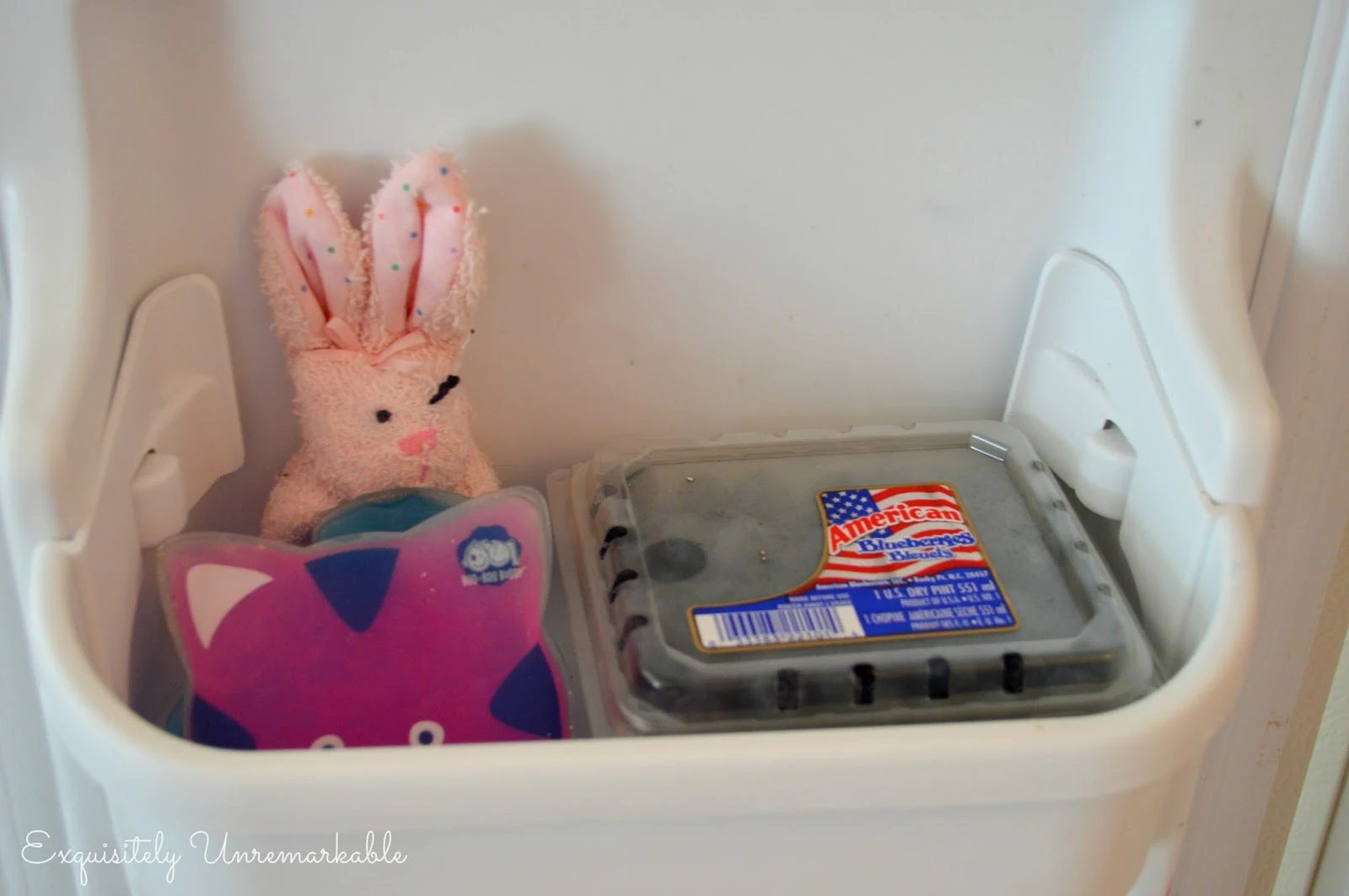 Frozen blueberries and boo boo ice packs on the freezer door