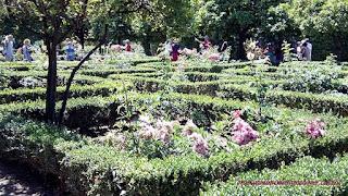 Roma Antiga Palatino, Jardins do Papa Farnese]