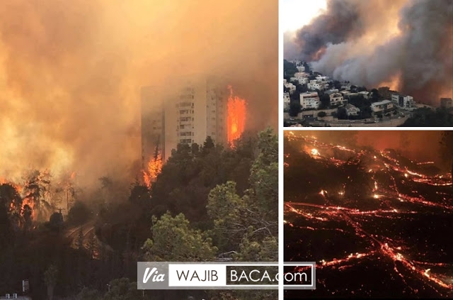 Dilanda Kebakaran Hebat Kini 500 Warga Israel Kebingungan Tak Punya Rumah Dilanda Kebakaran Hebat Kini 500 Warga Israel Kebingungan Tak Punya Rumah