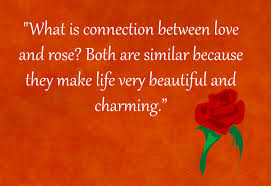  latest hd images of love quotes rose free download 51