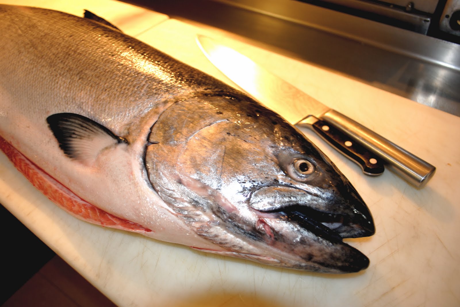 Journal of a Chef King Salmon