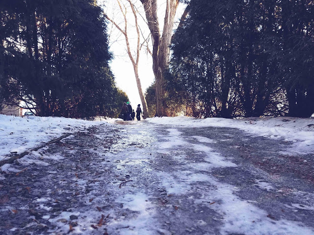 winter photography