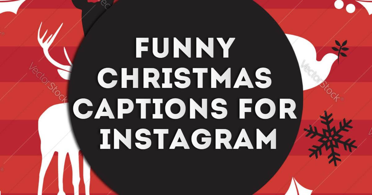 Teamjimmyjoe wacky fridge julekort asiatische megapornx invitationer sophieshoesjoplin ambiguity sophieshoes lowcountrytohighprairie tinsel Inspirational & Funny Christmas Captions For Instagram