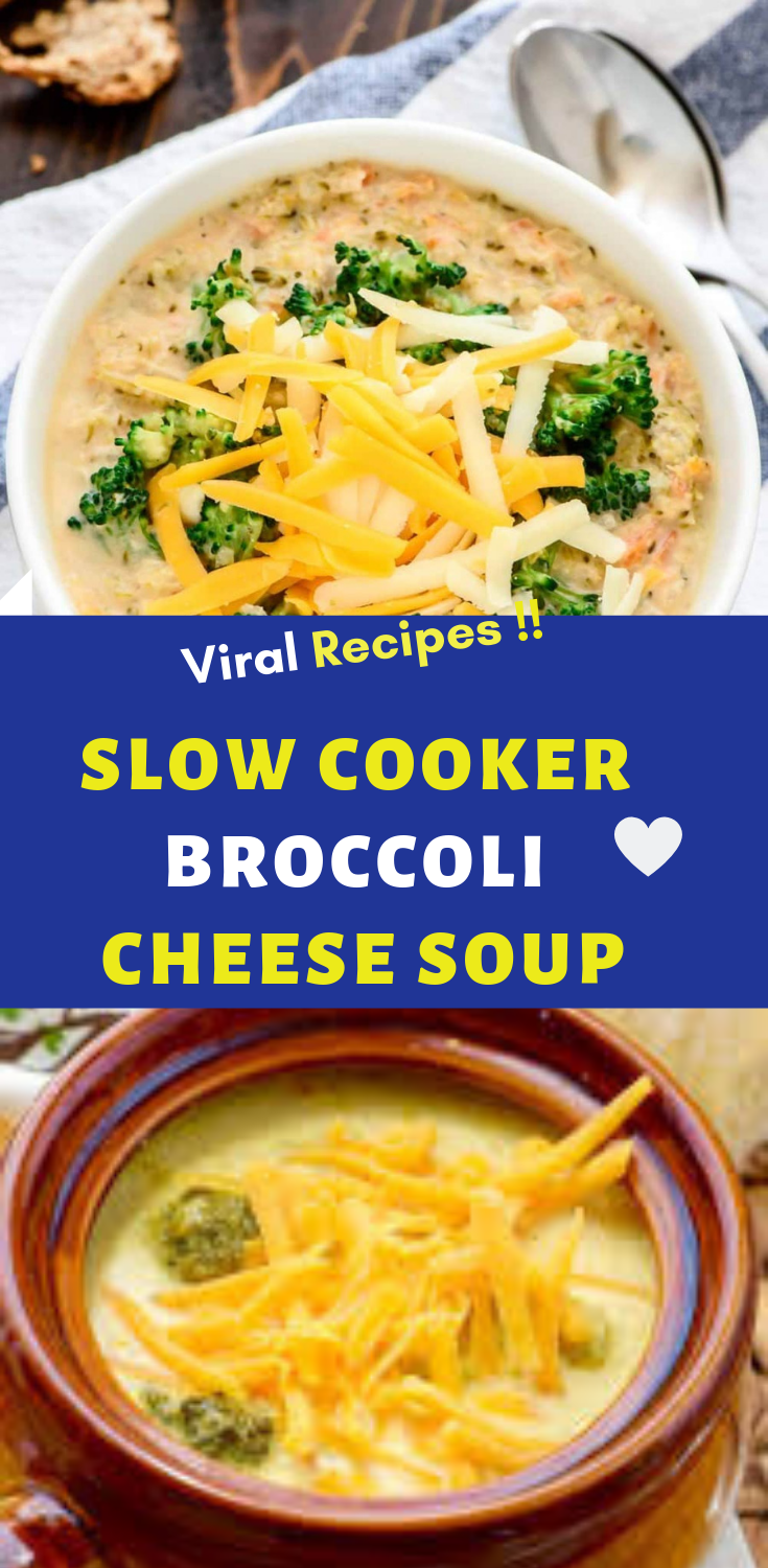 Slow Cooker Broccoli Cheese Soup ( 6 Servings) Easy Recipes