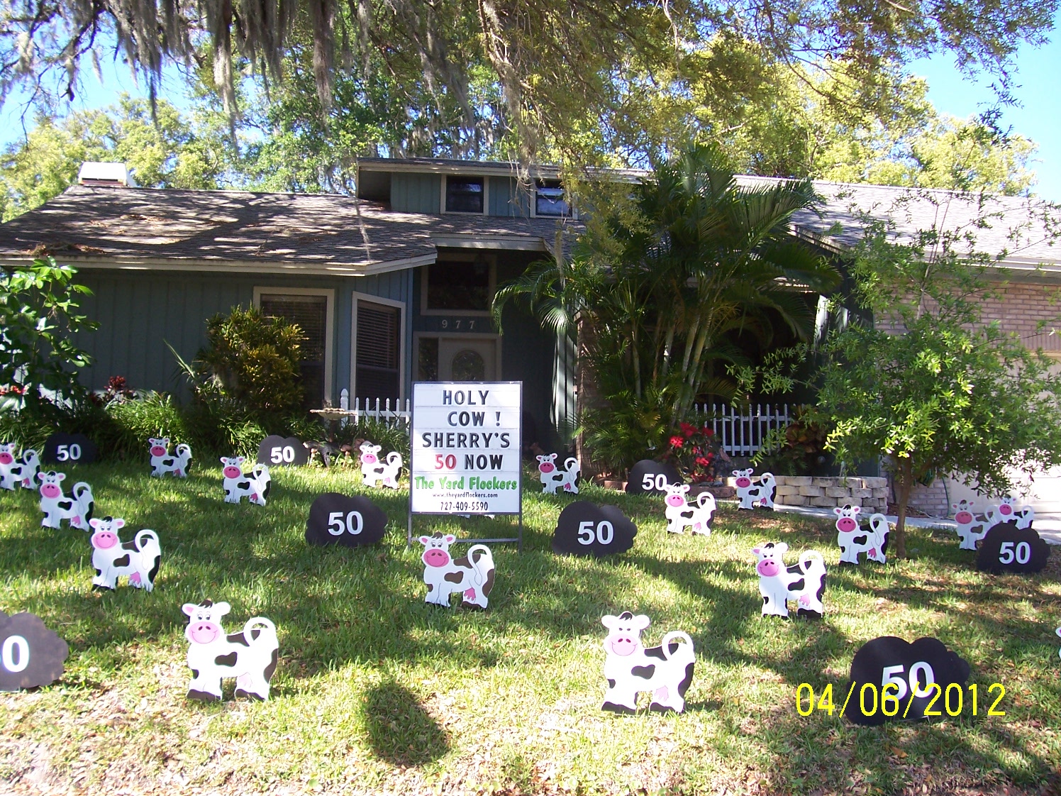 *THE YARD FLOCKERS* Pinellas County, Fla 7274095590 WWW