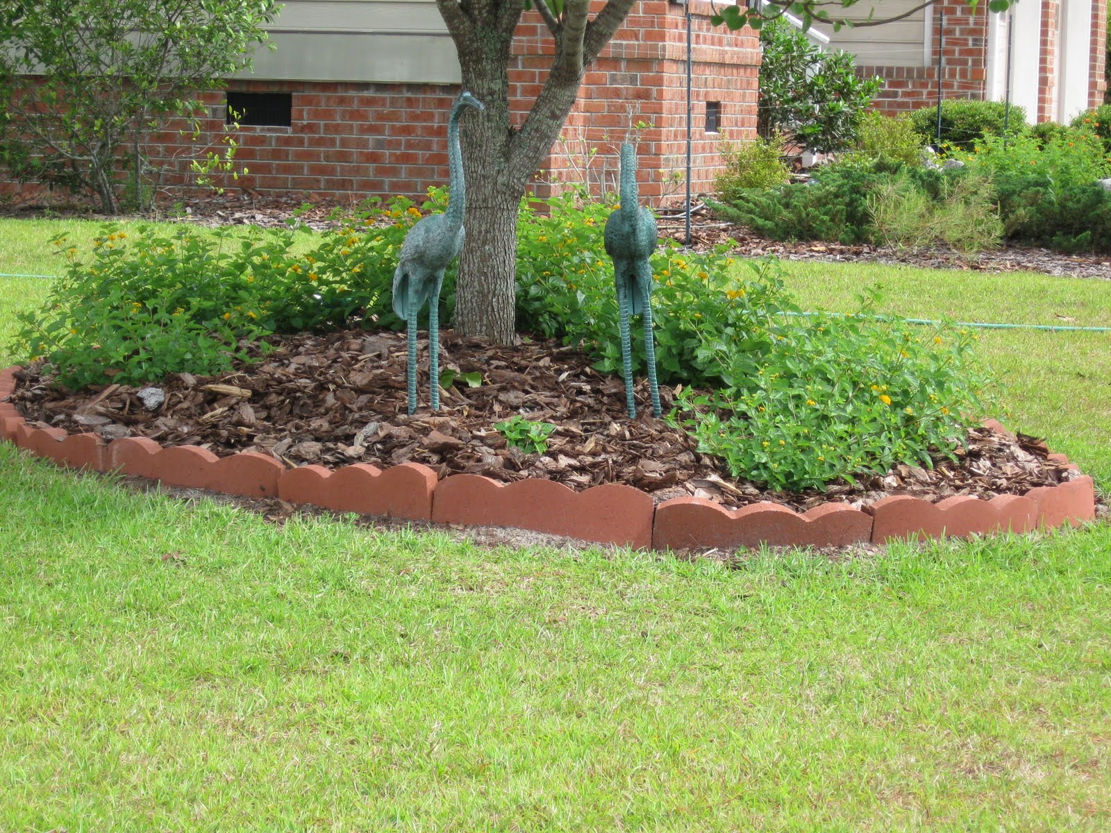 Gardening From the Ground Up GETTING EDGY