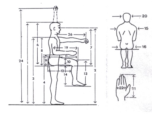 Factors Dimension Ergonomi Anthropometric Humano Cuerpo Ergonomic Agung factors-dimension-ergonomi-anthropometric-humano-cuerpo-ergonomic-agung