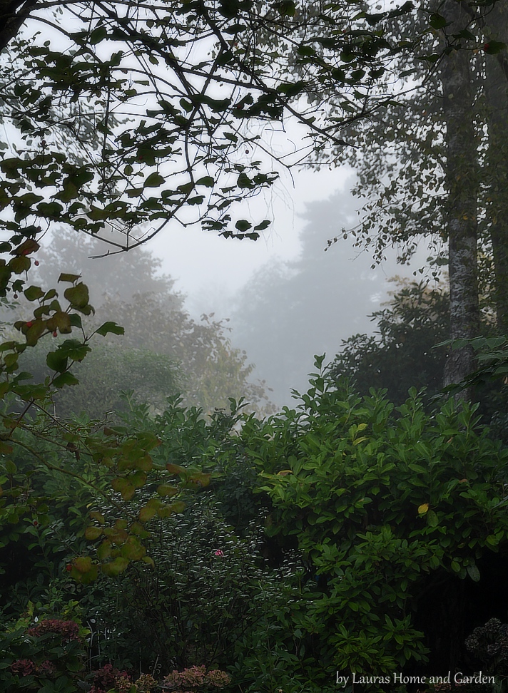 Lauras Home And Garden Der Wald Im Fruhnebel