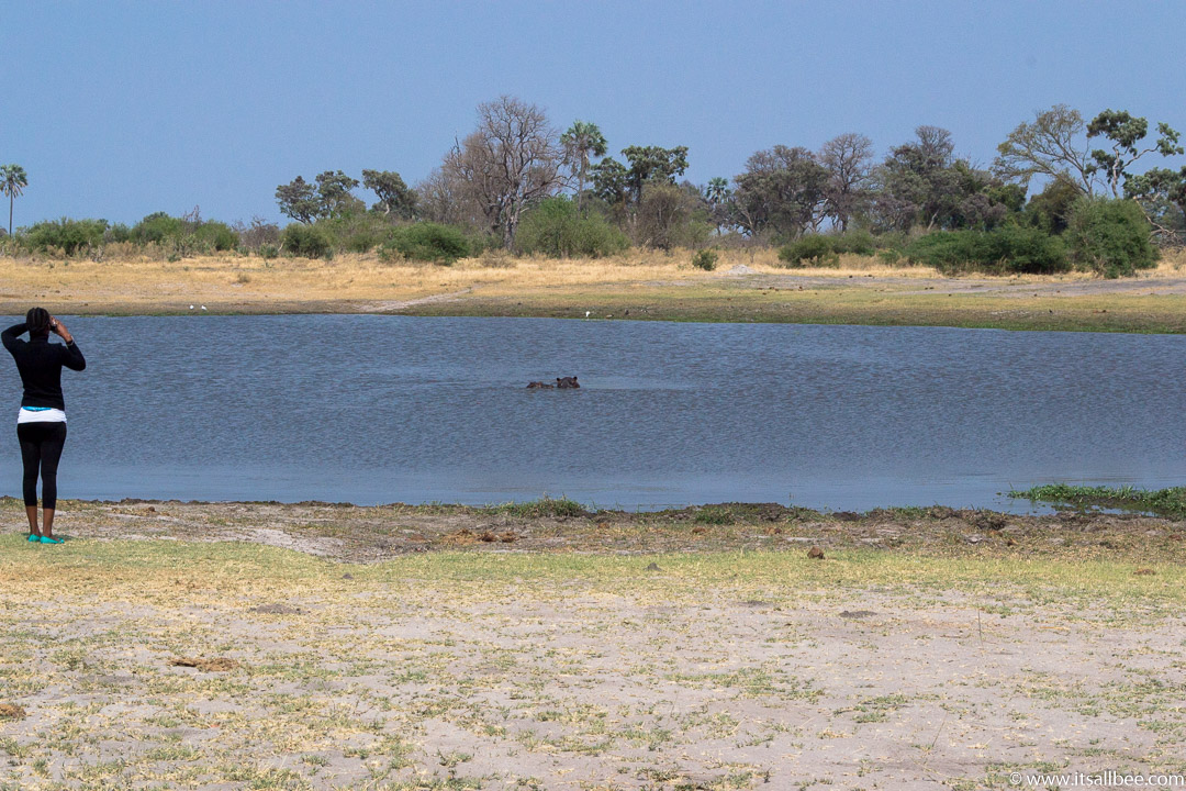 Visions of Wild In Africa's Botswana | Okavango Delta Safari