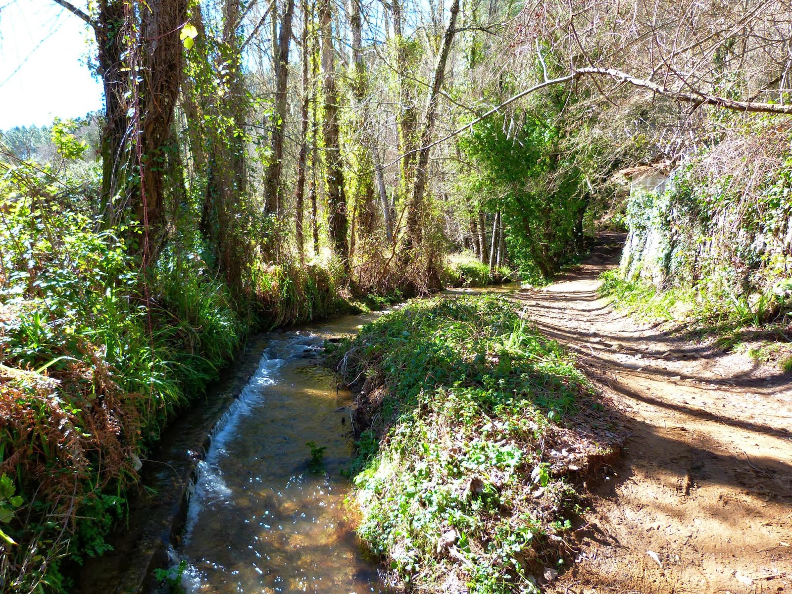 Foto de Sendero circular Fuenteheridos a castaño de robledo en Fuenteheridos, Huelva