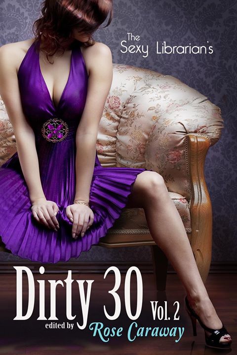 The Sexy Librarian's Dirty 30: Vol.2