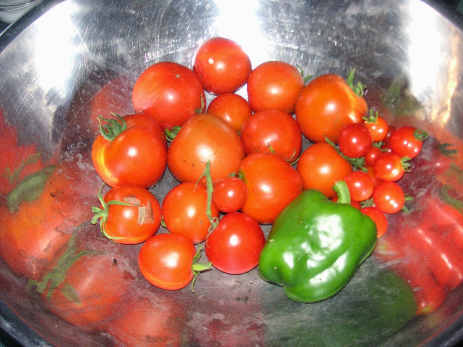 In The Land of The Living Skies II Got To Love A Fresh Tomato