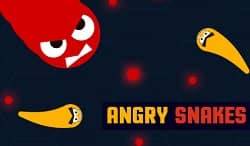Kızgın Yılanlar - Angry Snakes