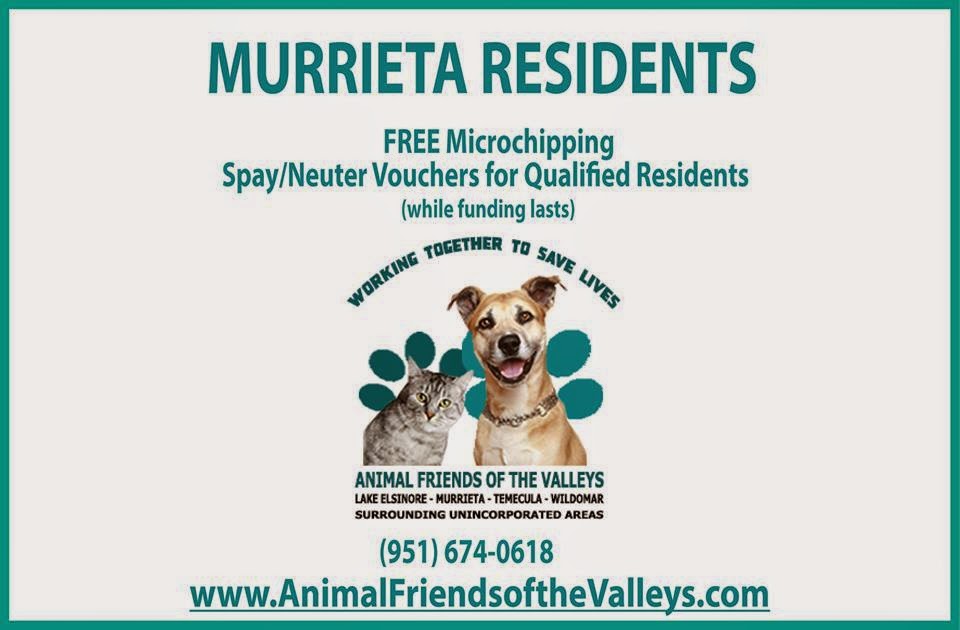 Free Spay/Neuter Vouchers, Microchipping for Pets ...