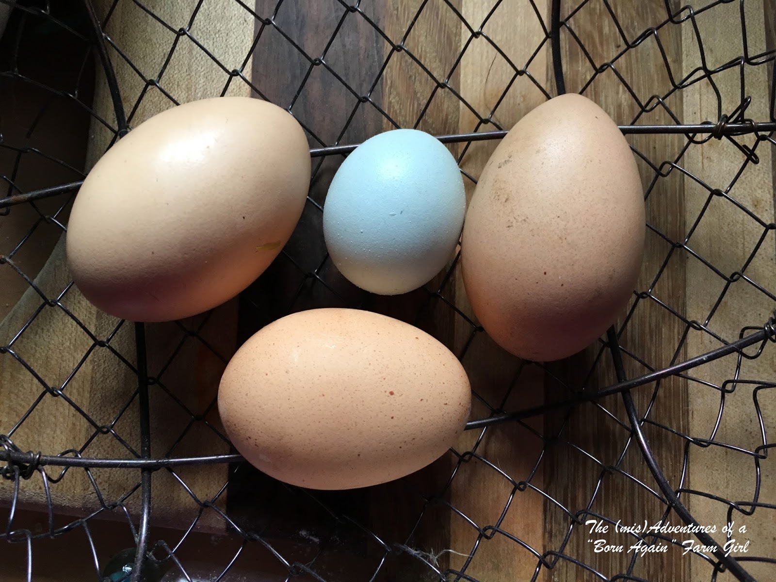 Fairy Eggs My Chicken Laid What!?!?! The (mis)Adventures of a Homesteadin' Mama