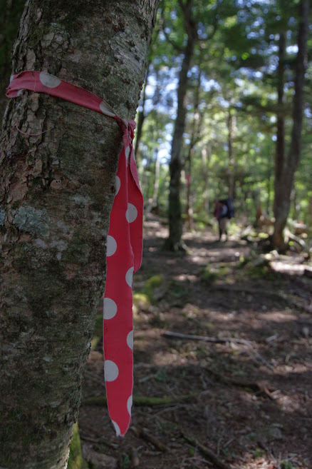 the nero republic 秋のつり