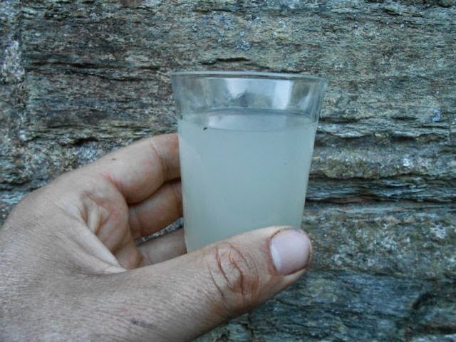 Mauka (Mirabilis expansa) drink mauka-ade